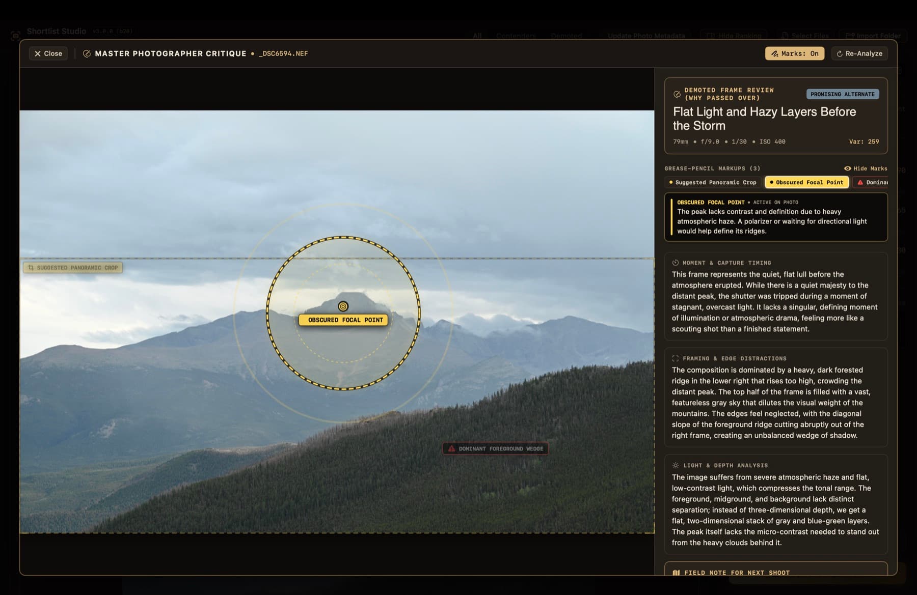 Master Photographer Critique showing grease-pencil markups on a landscape photo, pointing out an obscured focal point and dominant foreground wedge